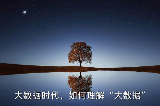 大數(shù)據(jù)時(shí)代，如何理解“大數(shù)據(jù)”
