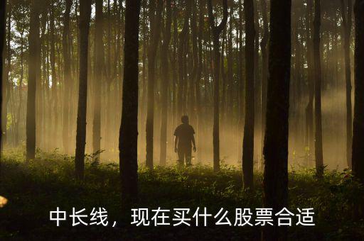 中長(zhǎng)線，現(xiàn)在買什么股票合適