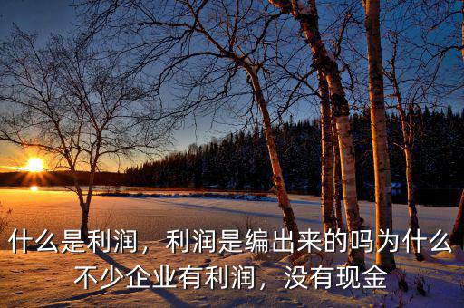 什么是利潤，利潤是編出來的嗎為什么不少企業(yè)有利潤，沒有現(xiàn)金