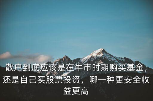 散戶到底應(yīng)該是在牛市時(shí)期購(gòu)買(mǎi)基金，還是自己買(mǎi)股票投資，哪一種更安全收益更高