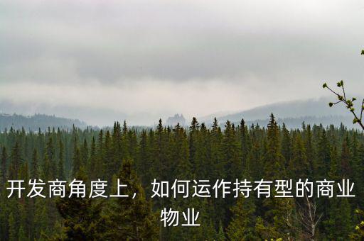 開發(fā)商角度上，如何運作持有型的商業(yè)物業(yè)