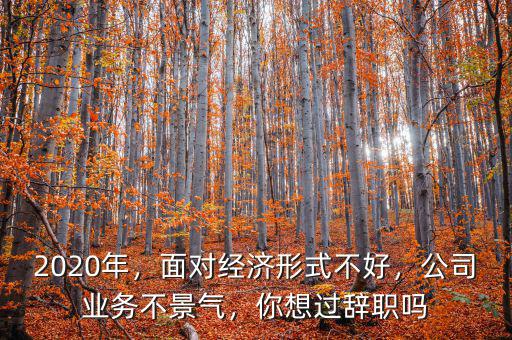 2020年，面對經(jīng)濟形式不好，公司業(yè)務(wù)不景氣，你想過辭職嗎