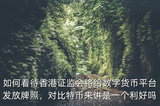如何看待香港證監(jiān)會(huì)將給數(shù)字貨幣平臺(tái)發(fā)放牌照，對(duì)比特幣來講是一個(gè)利好嗎