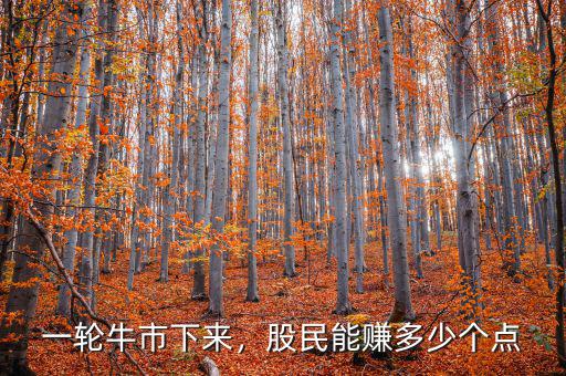 一輪牛市下來，股民能賺多少個點