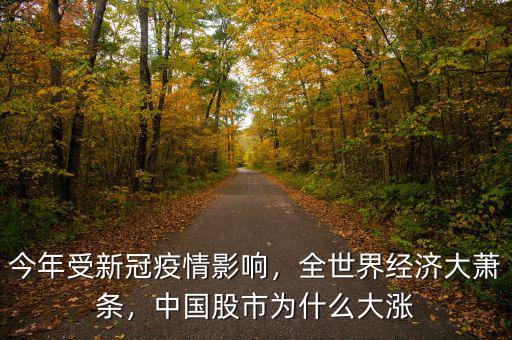 今年受新冠疫情影響，全世界經(jīng)濟(jì)大蕭條，中國(guó)股市為什么大漲