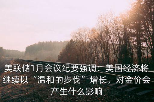 美聯(lián)儲1月會議紀要強調(diào)：美國經(jīng)濟將繼續(xù)以“溫和的步伐”增長，對金價會產(chǎn)生什么影響