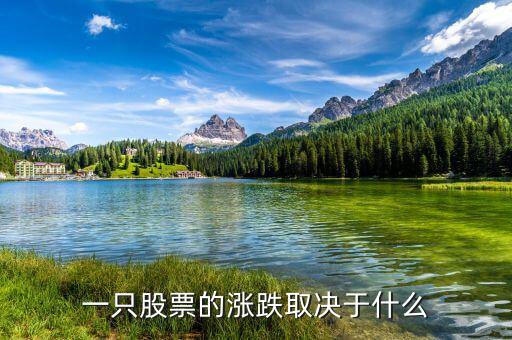 一只股票的漲跌跟什么有關系,一只股票的漲跌取決于什么