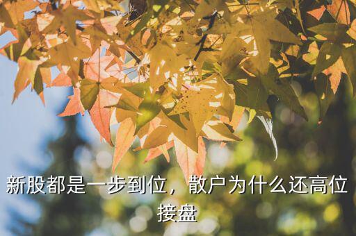 新股都是一步到位，散戶(hù)為什么還高位接盤(pán)