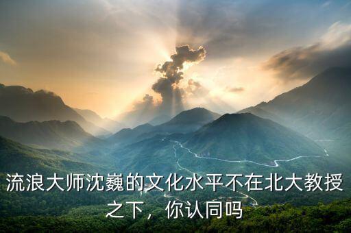 流浪大師沈巍的文化水平不在北大教授之下，你認同嗎