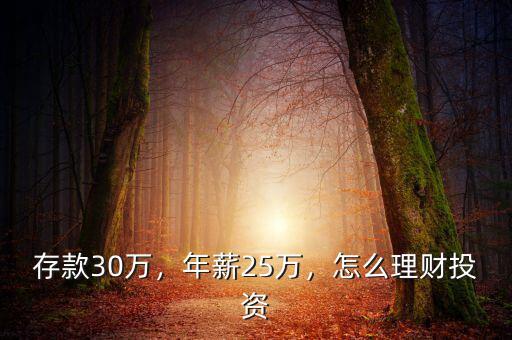 存款30萬，年薪25萬，怎么理財投資
