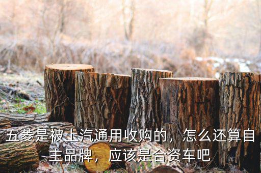 五菱是被上汽通用收購(gòu)的，怎么還算自主品牌，應(yīng)該是合資車(chē)吧
