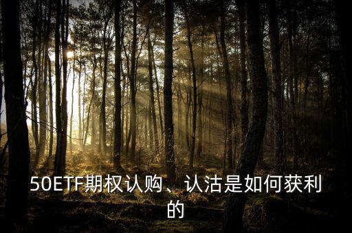 50ETF期權(quán)認(rèn)購、認(rèn)沽是如何獲利的