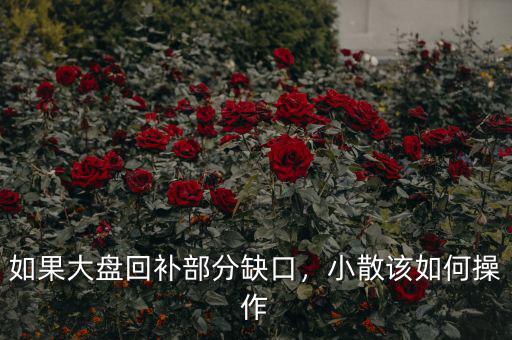 如果大盤(pán)回補(bǔ)部分缺口，小散該如何操作