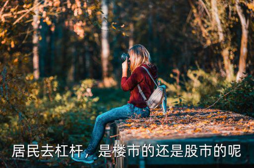 居民去杠桿，是樓市的還是股市的呢