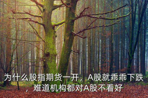 為什么股指期貨一開，A股就乖乖下跌，難道機(jī)構(gòu)都對(duì)A股不看好