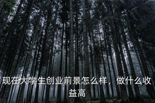 現(xiàn)在大學(xué)生創(chuàng)業(yè)前景怎么樣，做什么收益高