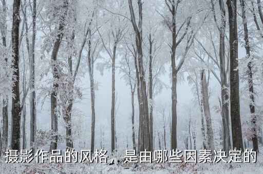 攝影作品的風(fēng)格，是由哪些因素決定的