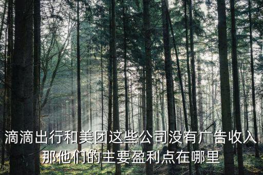 滴滴出行和美團(tuán)這些公司沒有廣告收入那他們的主要盈利點在哪里