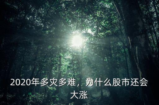2020年多災(zāi)多難，為什么股市還會大漲