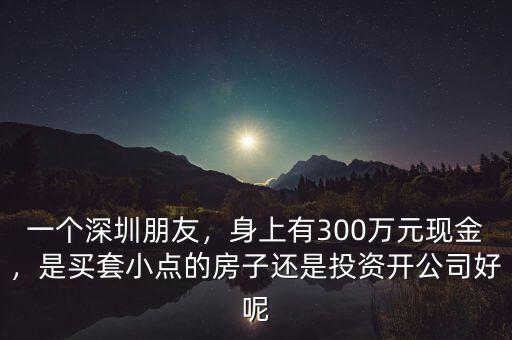 一個深圳朋友，身上有300萬元現(xiàn)金，是買套小點的房子還是投資開公司好呢