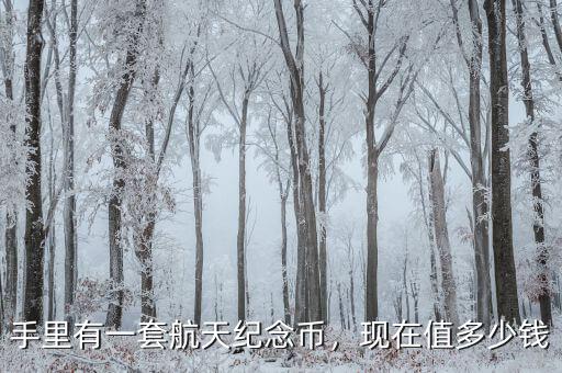 手里有一套航天紀念幣，現(xiàn)在值多少錢