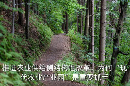 推進農業(yè)供給側結構性改革，為何“現代農業(yè)產業(yè)園”是重要抓手
