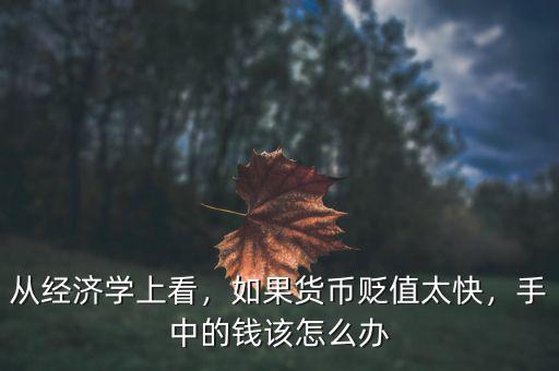 從經(jīng)濟(jì)學(xué)上看，如果貨幣貶值太快，手中的錢該怎么辦