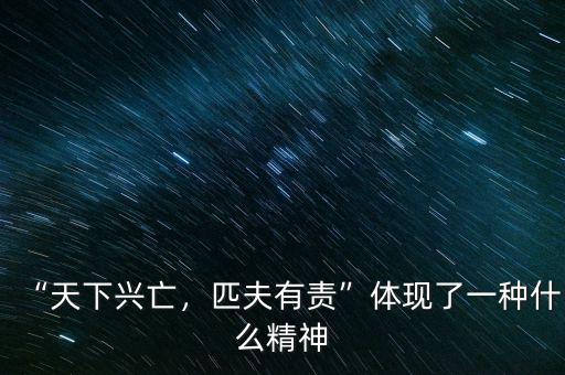 “天下興亡，匹夫有責”體現了一種什么精神