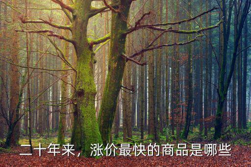 二十年來，漲價(jià)最快的商品是哪些