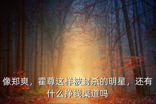 像鄭爽，霍尊這樣被封殺的明星，還有什么掙錢(qián)渠道嗎