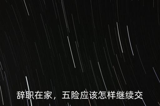 辭職在家，五險應(yīng)該怎樣繼續(xù)交