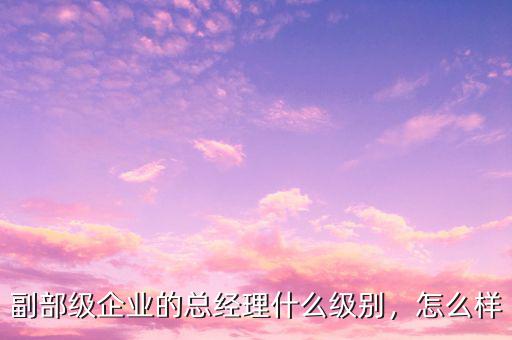 副部級(jí)企業(yè)的總經(jīng)理什么級(jí)別，怎么樣
