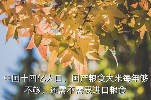 中國十四億人口，國產(chǎn)糧食大米每年夠不夠，還需不需要進口糧食