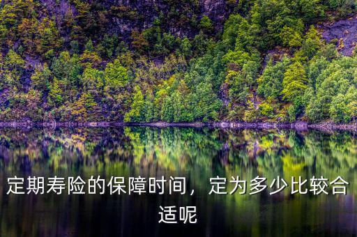 定期壽險的保障時間，定為多少比較合適呢