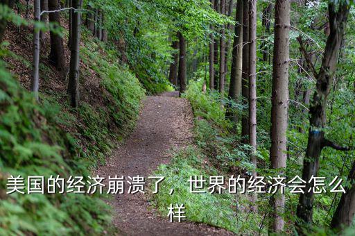 美國的經(jīng)濟崩潰了，世界的經(jīng)濟會怎么樣