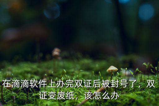 在滴滴軟件上辦完雙證后被封號了，雙證變廢紙，該怎么辦