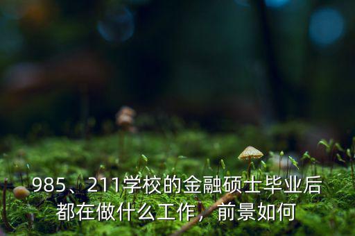 985、211學(xué)校的金融碩士畢業(yè)后都在做什么工作，前景如何