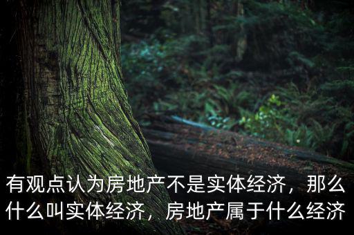 有觀點(diǎn)認(rèn)為房地產(chǎn)不是實(shí)體經(jīng)濟(jì)，那么什么叫實(shí)體經(jīng)濟(jì)，房地產(chǎn)屬于什么經(jīng)濟(jì)