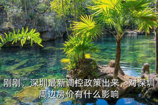 剛剛，深圳最新調(diào)控政策出來，對(duì)深圳周邊房價(jià)有什么影響