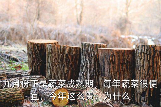 九月份正是蔬菜成熟期，每年蔬菜很便宜，今年這么貴，為什么
