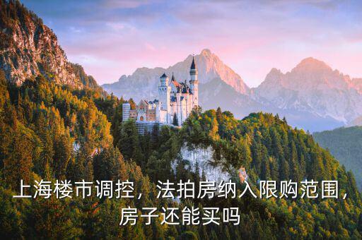 上海樓市調(diào)控，法拍房納入限購范圍，房子還能買嗎