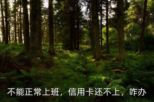 不能正常上班，信用卡還不上，咋辦
