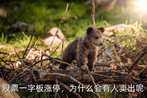 股票一字板漲停，為什么會(huì)有人賣出呢