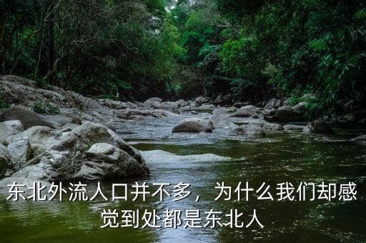 東北外流人口并不多，為什么我們卻感覺到處都是東北人