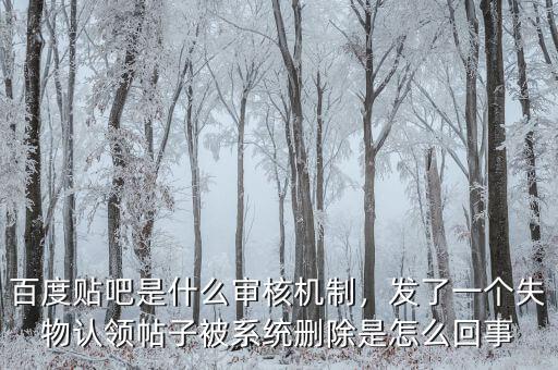 百度貼吧是什么審核機(jī)制，發(fā)了一個(gè)失物認(rèn)領(lǐng)帖子被系統(tǒng)刪除是怎么回事