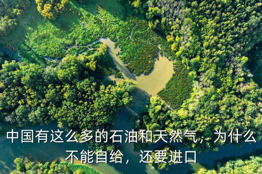 中國有這么多的石油和天然氣，為什么不能自給，還要進口