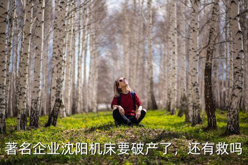 著名企業(yè)沈陽(yáng)機(jī)床要破產(chǎn)了，還有救嗎