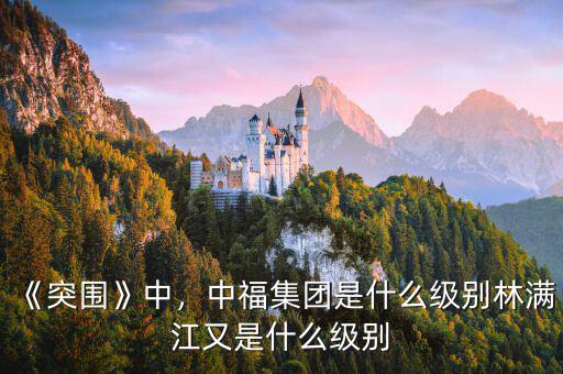 《突圍》中，中福集團(tuán)是什么級別林滿江又是什么級別
