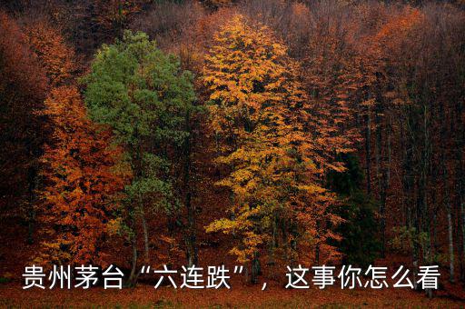 貴州茅臺(tái)“六連跌”，這事你怎么看