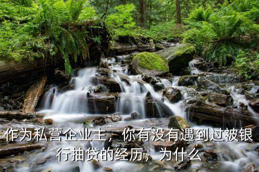 作為私營(yíng)企業(yè)主，你有沒有遇到過(guò)被銀行抽貸的經(jīng)歷，為什么